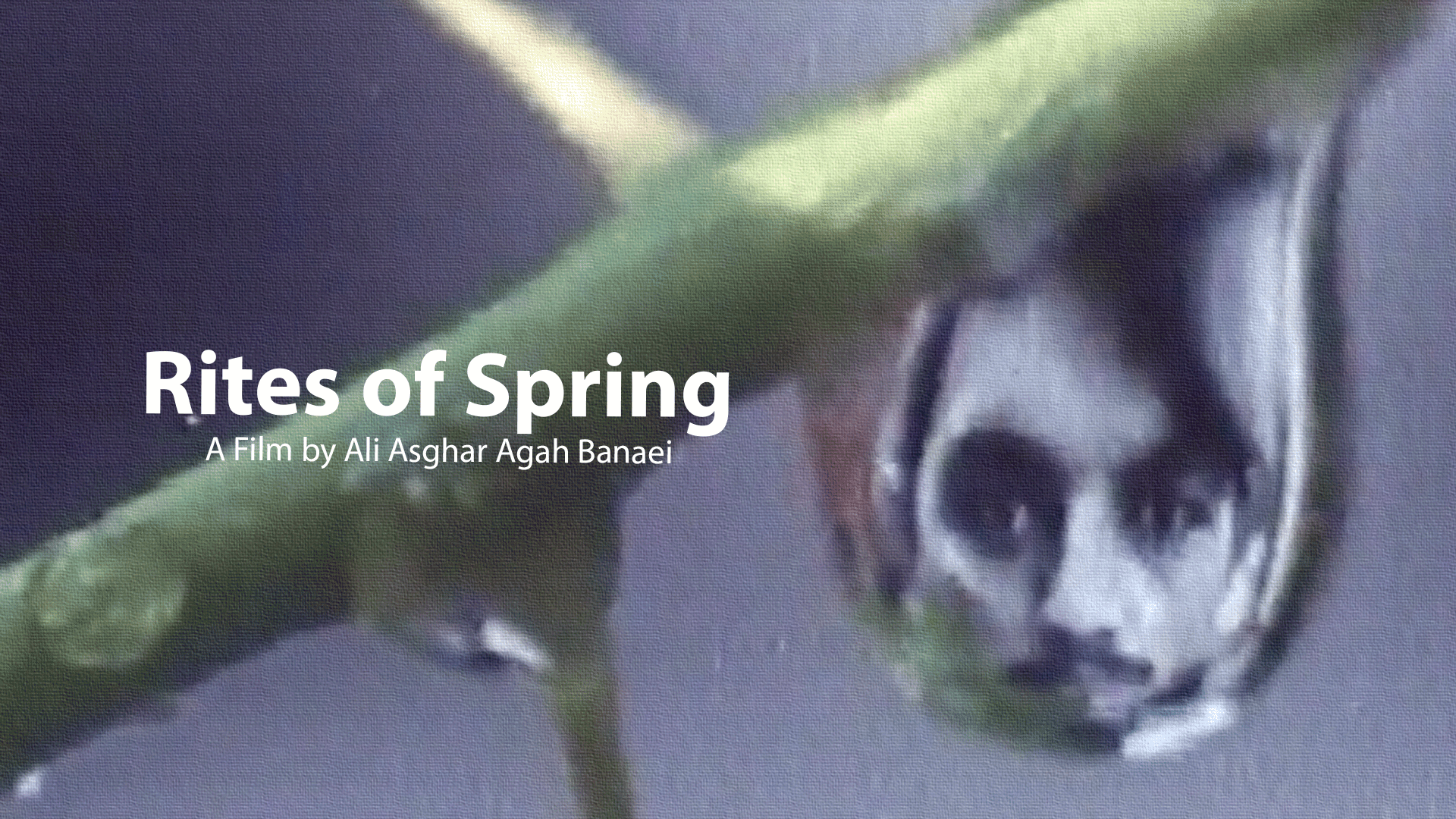 Rites of Spring (1982)